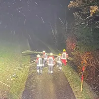 Baum über Straße.jpg